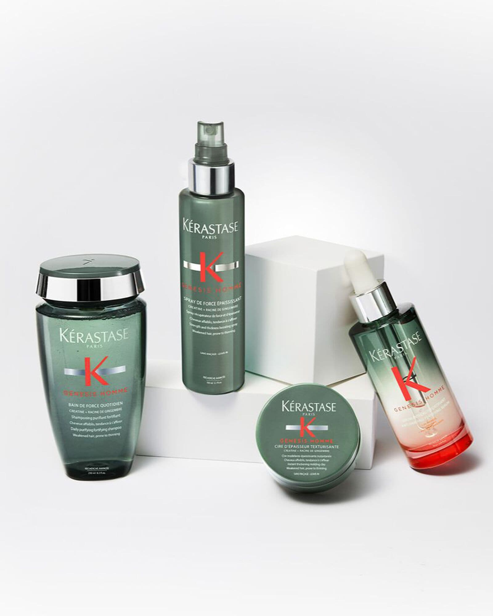 Genesis Homme